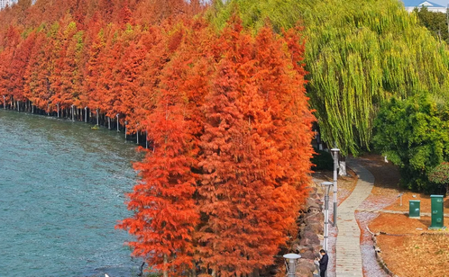 http://m.wfzhuangchen.com/szgyyq/jsdt/202502/4d9d20e72c7d425cada95f797a1e160f/images/98a21992ddb44b309b353f6216cb0598.png